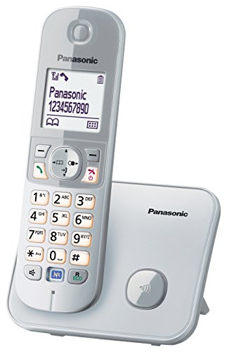 Panasonic KX-TG6811GS DECT Schnurlostelefon (strahlungsarm, Eco-Modus, GAP Telefon, ohne Anrufbeantworter, Festnetz, Anrufsperre) perl-silber