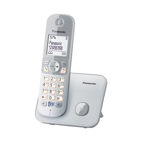 Panasonic KX-TG6811GS DECT Schnurlostelefon (strahlungsarm, Eco-Modus, GAP Telefon, ohne Anrufbeantworter, Festnetz, Anrufsperre) perl-silber